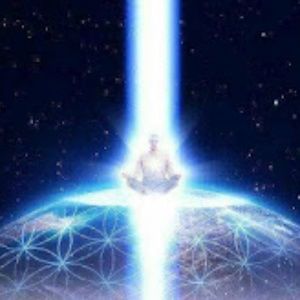 Meet your Posher, Lynn